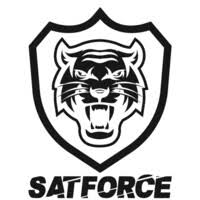 Satforce